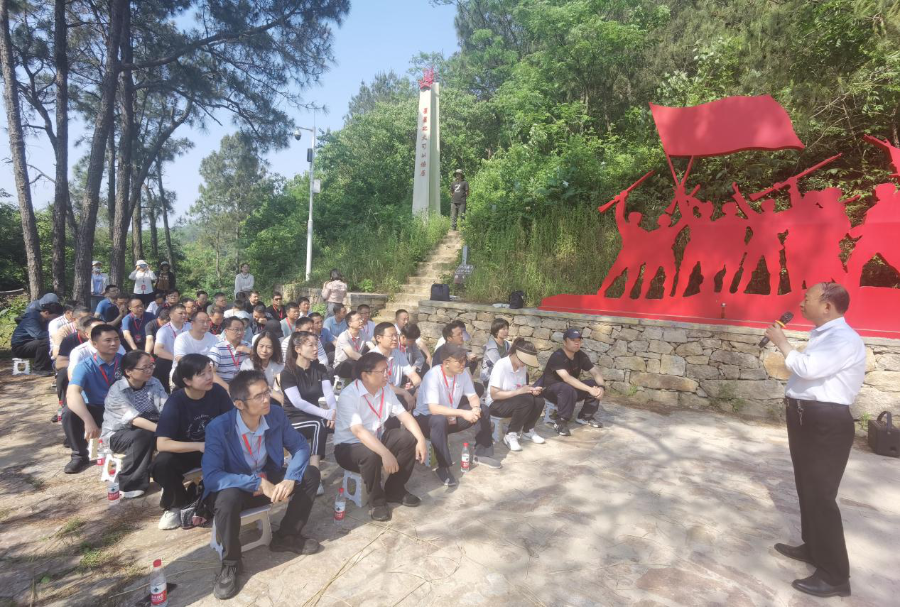 图片12