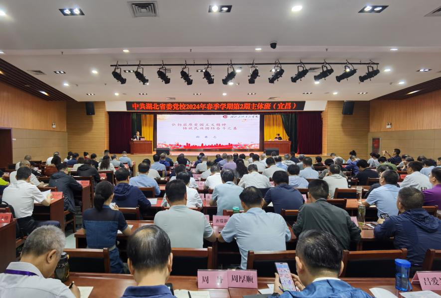 图片11